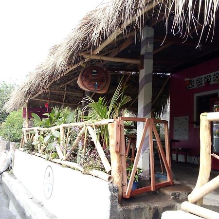 Mamacita Cafe House 호텔 모요갈파 외부 사진