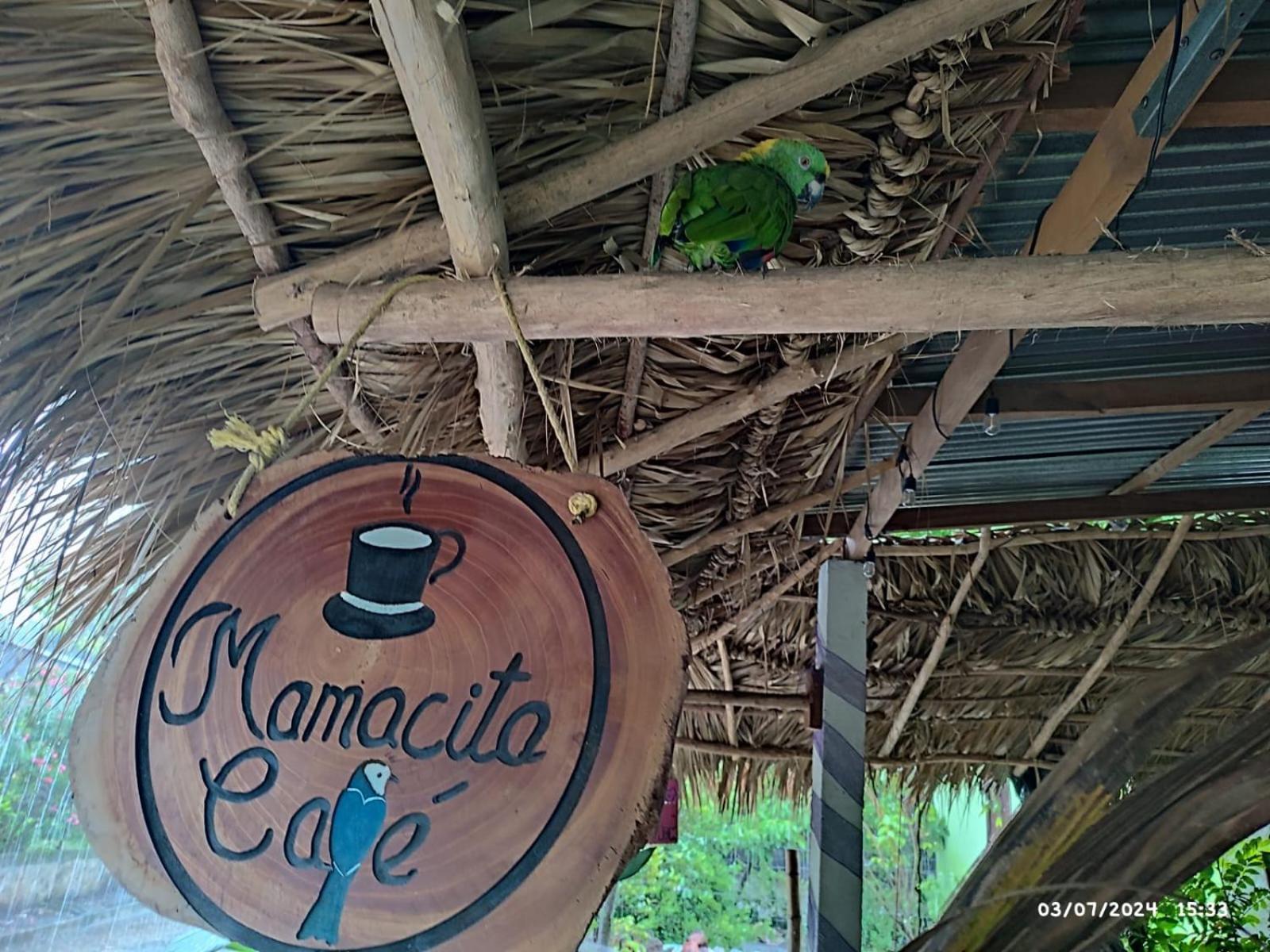 Mamacita Cafe House 호텔 모요갈파 외부 사진