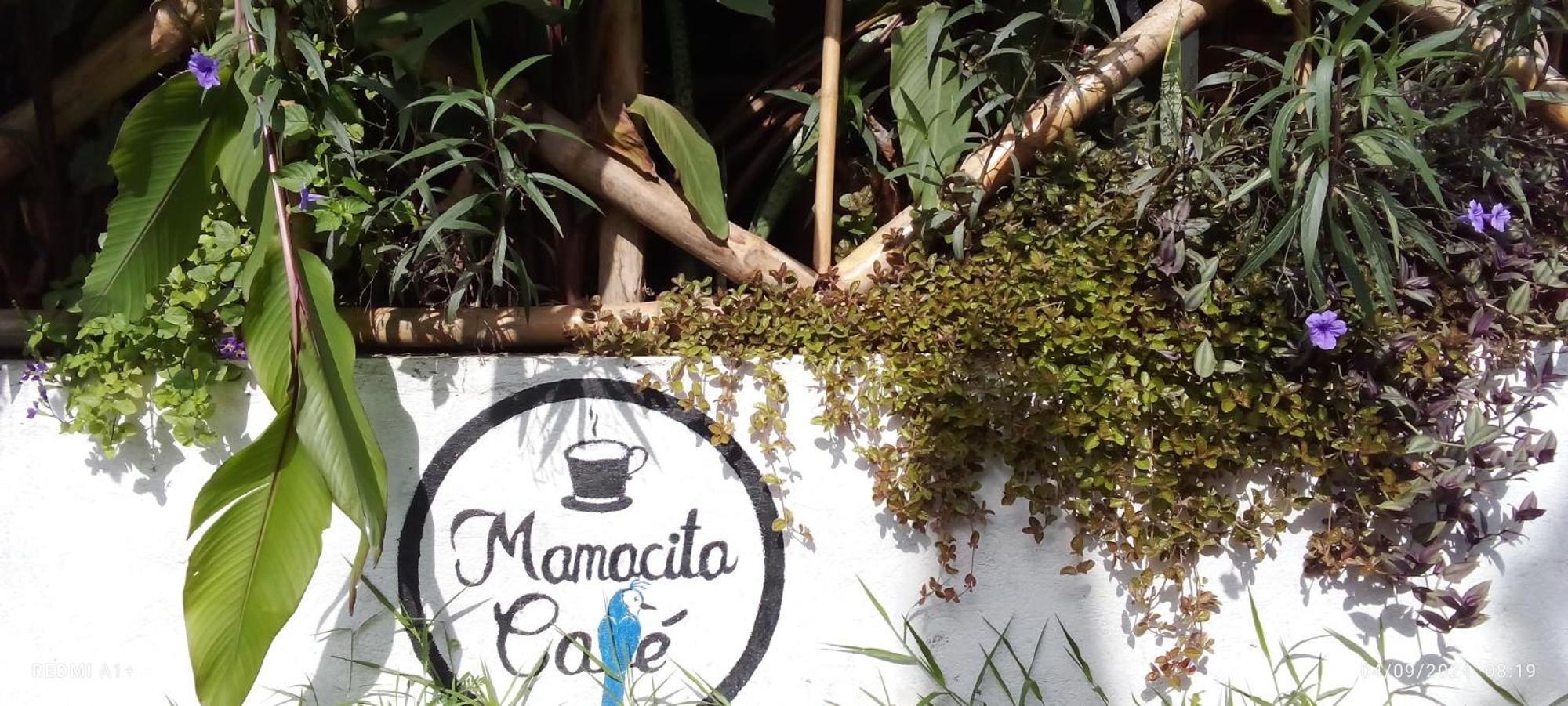 Mamacita Cafe House 호텔 모요갈파 외부 사진